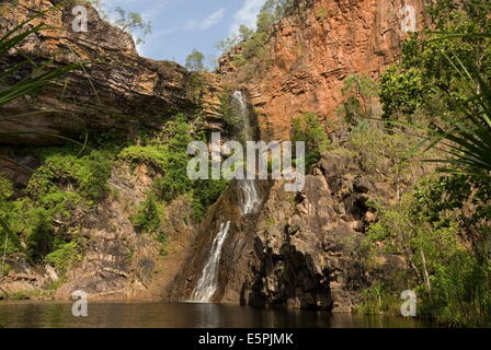 Tjaynera Falls und Wasserloch auf Sandy Creek, Litchfield Nationalpark, Northern Territory, Australien, Pazifik Stockfoto