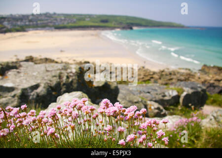 Porthmeor Beach St Ives Cornwall South West England Azure Meer und Felsen im Hintergrund mit Meer rosa Blumen im Vordergrund Stockfoto