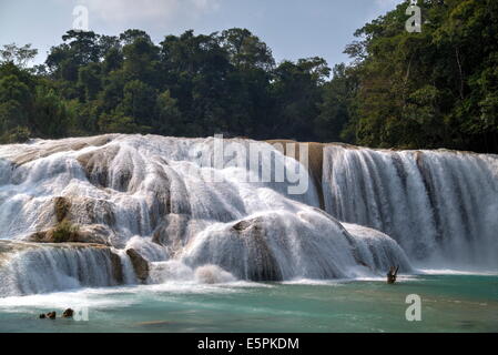 Rio gewählt, Agua Azul, Nationalpark, in der Nähe von Palenque, Chiapas, Mexiko, Nordamerika Stockfoto