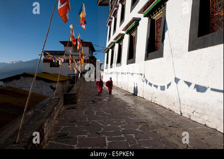 Buddhistische Mönche wandern in der frühen Morgensonne an den Wänden der Tawang-buddhistisches Kloster, Arunachal Pradesh, Indien Stockfoto