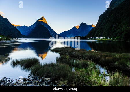 Frühen Morgenlicht im Milford Sound, Fiordland-Nationalpark, der UNESCO, Südinsel, Neuseeland Stockfoto