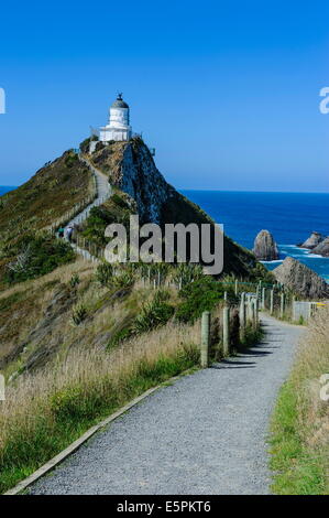 Nugget Point Lighthouse, die Catlins, Südinsel, Neuseeland, Pazifik Stockfoto