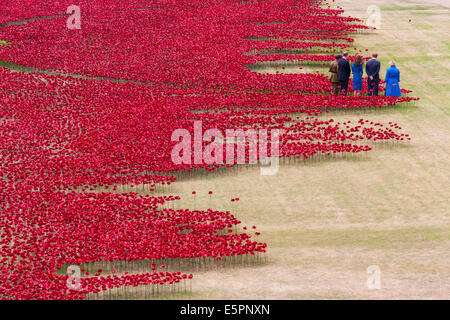 London, UK. 5. August 2014. Prinz William und Kate der Herzog und die Herzogin von Cambridge begleitet von Prinz Harry besuchen Sie die Tower of London Mohn Installation im Rahmen der Veranstaltungen anlässlich der Hundertjahrfeier des 1. Weltkrieges. Bildnachweis: Paul Davey/Alamy Live-Nachrichten Stockfoto