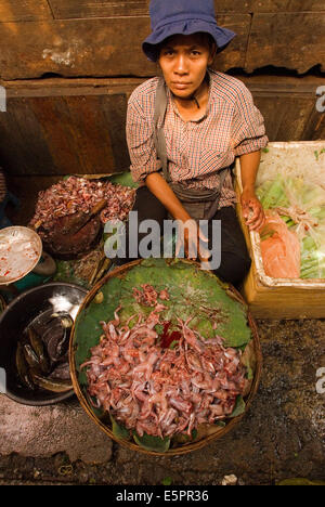 Dunkelhäutigen Frösche auf Verkauf am Psar Thmei Central Market Phnom Penh Stockfoto