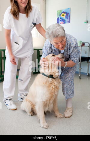 Verband der ausgebildete Hunde-Besucher, die Kranken und älteren Menschen zu besuchen; Workshop Runing durch Freiwillige Lehrer und Mitarbeiter der Stockfoto