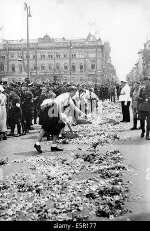 Mädchen vom Bund der Deutschen Mädchen (BDM) schmücken die Straßen mit Blumen für Hitlers Ankunft am Wilhelmplatz, als Hitler von seinem Felsennest-Hauptquartier zurückkehrt, nachdem der Armistice of Compiegne unterzeichnet wurde, der die westliche Kampagne in Frankreich am 06. Juli 1940 in Berlin beendet hat. Fotoarchiv für Zeitgeschichte - KEIN KABELDIENST Stockfoto