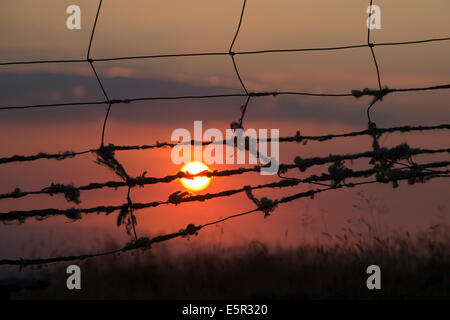 Sonnenuntergang beleuchtet Schafwolle gefangen auf einen Zaun auf dem Gipfel des Corndon Hill, Powys, Wales, UK. Stockfoto