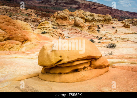 Arizona. Erstaunliche Felsformationen in der Steinwüste, Paria Canyon-Vermillion Cliffs Wilderness Stockfoto