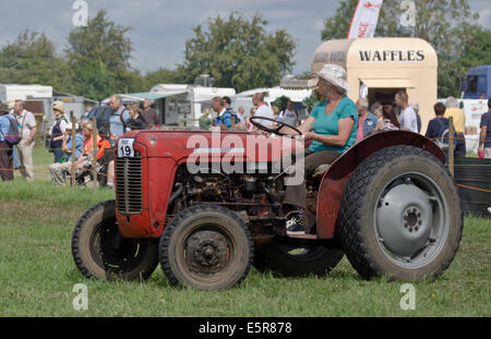 Oldtimer-Traktor Massey Ferguson 35 auf dem Display auf die Böcke Jahrmarkt Stockfoto