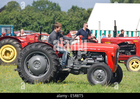 Massey Ferguson Oldtimer-Traktor auf dem Display auf die Böcke Jahrmarkt Stockfoto