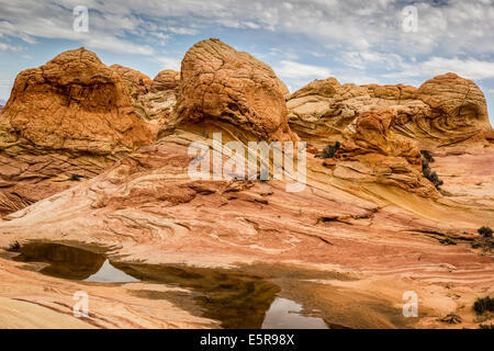 Arizona. Erstaunliche Felsformationen in der Steinwüste, Paria Canyon-Vermillion Cliffs Wilderness Stockfoto