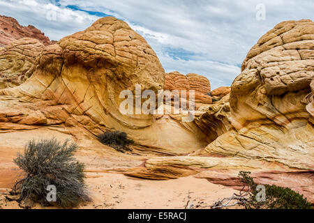 Arizona. Erstaunliche Felsformationen in der Steinwüste, Paria Canyon-Vermillion Cliffs Wilderness Stockfoto