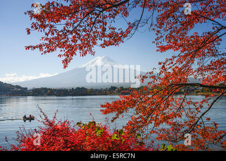 Mt. Fuji, Japan am Kawaguchi-See während der Herbstsaison. Stockfoto