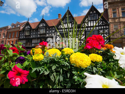 Blumen und Fachwerkbauten auf dem Marktplatz, Shrewsbury, Shropshire, England, UK. Stockfoto