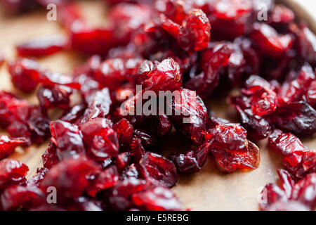 Getrocknete Cranberries Blasenentzündung Prävention. Stockfoto