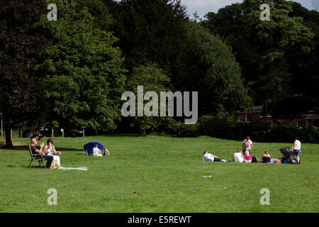 Coltishall, Norfolk, Großbritannien. 4. August 2014. Menschen waren in Kraft heute überall in den Norfolk Broads genießen die Sommersonne. Hier sind die Menschen, Picknick am Fluss. Bildnachweis: Paul Lilley/Digitalshot/Alamy Live-Nachrichten Stockfoto