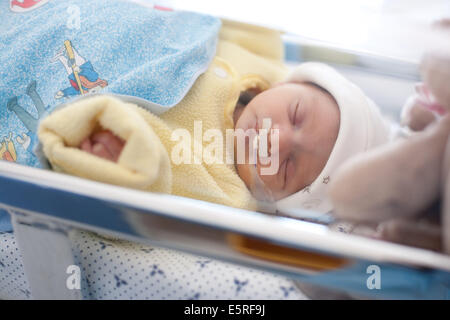 Vorzeitigen Neugeborenen Baby, Geburtshilfe und Gynäkologie-Abteilung, Saintonges Krankenhaus, Saintes, Frankreich. Stockfoto