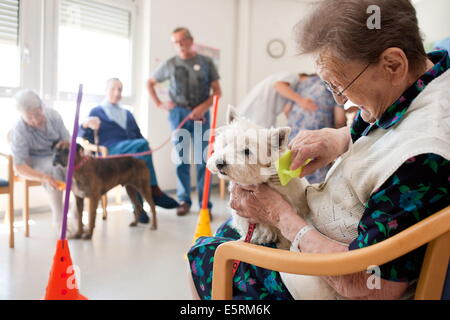 Verband der ausgebildete Hunde-Besucher, die Kranken und älteren Menschen zu besuchen; Workshop Runing durch Freiwillige Lehrer und Mitarbeiter der Stockfoto