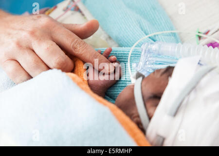 Frühchen. Stockfoto