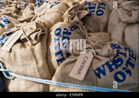 Sea Scouts ziehen symbolischen Wagen voller Auster Sack in Parade am Whitstable Oyster Festival Kent England UK Stockfoto