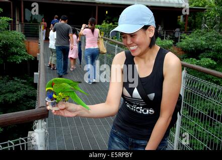 Singapur: Frau mit zwei LKWs Trinken Nektar in die immense Jurong Bird Park Lory Loft-Voliere Stockfoto