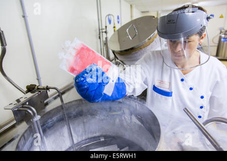 Techniker halten eine hämatopoetische Stammzellen gefrorenen Beutels, Zelle Therapieeinheit CTSA in Clamart, Frankreich.
