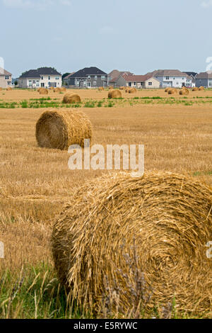 Perrysburg, Ohio - eine neue Stadtteilentwicklung greift auf landwirtschaftlichen Flächen in der Nähe von Toledo. Stockfoto