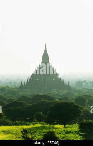 Süd-Ost-Asien, Myanmar, Bagan, Tempel in Bagan-Ebene Stockfoto