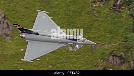 RAF Taifun 29(R) Squadron mit speziellen Heck design für 2014 Airshow Saison Stockfoto