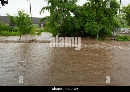 Gewitter erstellen Flash-Überschwemmungen in Oakville, Ontario verwandelt Straßen in Flüssen Verseilung viele & Millionen Schaden verursacht Stockfoto