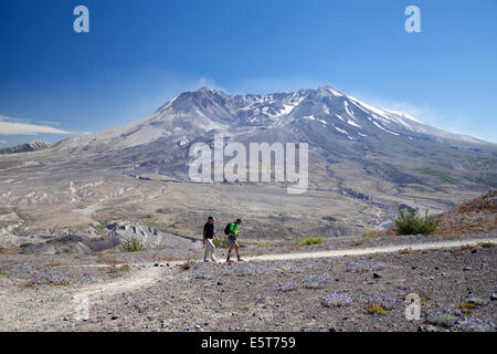 Mt. St. Helens Nationalpark, Washington, USA Stockfoto