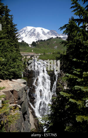 Mt. Rainier Nationalpark, Washington, USA Stockfoto