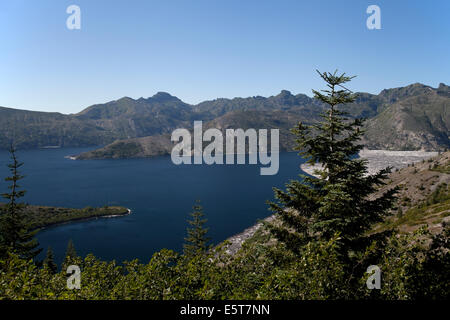 Mt. St. Helens Nationalpark, Washington, USA Stockfoto