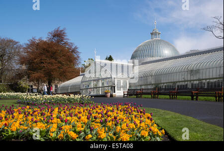 SummerGlasgow Botanic Gardens und Kibble Ort Schmiedeeisen gerahmte Gewächshaus. Stockfoto