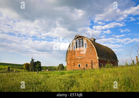 Eine verlassene Scheune in der abgelegenen Region Palouse Empire, eine Landwirtschaft und Weizen wachsenden Region mit sanften Hügeln und weiten Himmel im östlichen Washington. Stockfoto