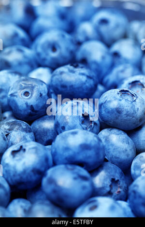 Frisch gepflückten Heidelbeeren Stockfoto