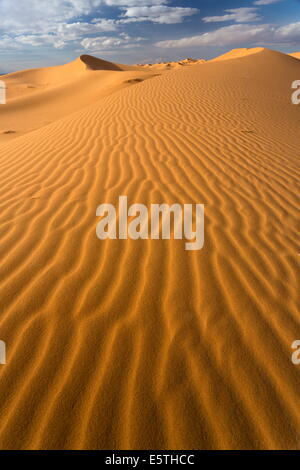 Orangefarbenen Dünen und Sand Wellen, Erg Chebbi Sand Meer, Sahara Wüste in der Nähe von Merzouga, Marokko, Nordafrika, Afrika Stockfoto
