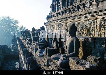 Am frühen Morgen Licht scheint auf Buddhas sitzen in der Tempelanlage Borobodur, der UNESCO, Java, Indonesien, Südostasien Stockfoto