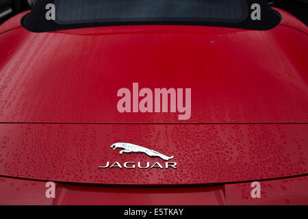 Journalist Robert Crampton Testfahrten der neuen Jaguar F-Type Mietwagen in Hull, East Yorkshire. Stockfoto