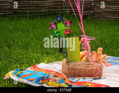 Picknickkorb auf Gras, Heimgarten Party Stockfoto