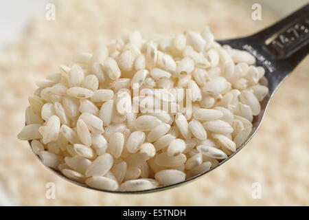 Rohe ungekochte Arborio-Reis Stockfoto