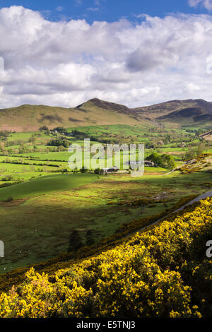 Frühling im Newlands Valley, Lake District Stockfoto