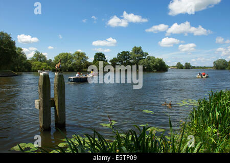 Der Fluss Vecht in den Niederlanden mit Booten und ägyptische Gänse an einem sonnigen Sommertag Stockfoto