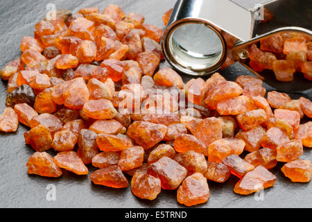 Haufen von hell orange, unbeschnittenen Spessartin oder Spessartin Granat mit Lupe auf schwarzen Steinplatte. Stockfoto