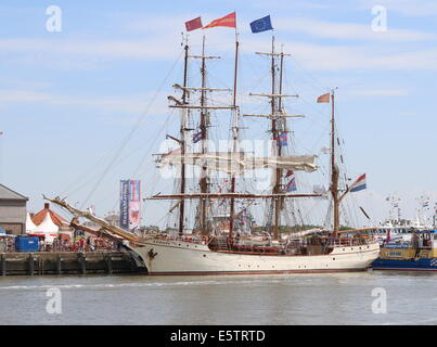 Holländische Stahl-geschältes Bark und Großsegler Europa bei den Juli 2014 Tall Ship Races in Harlingen, Niederlande Stockfoto