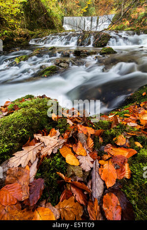 Stock Ghyll Kraft Ambleside Seenplatte Cumbria England UK Stockfoto