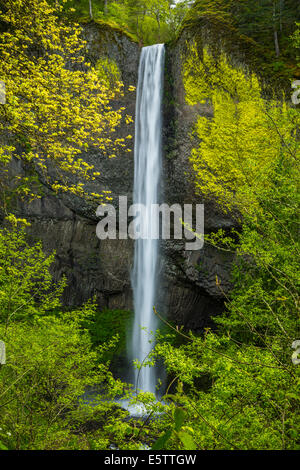 Latourell verliebt sich in den Columbia River Gorge, Oregon, USA. Stockfoto
