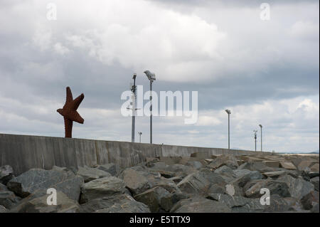 County Louth, Irland. 6. August 2014. Wetter: CCTV Überwachungskamera und künstlerische Skulptur nebeneinander am Hafen Oriel.County Louth. Bildnachweis: Barry Cronin/Alamy Live-Nachrichten Stockfoto