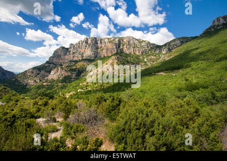 Landschaft in der Provence, Südfrankreich Stockfoto