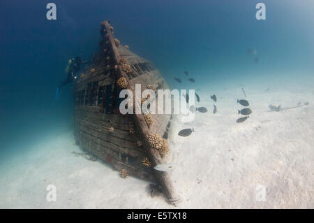Lokale Fischerei Dhoni Wrack östlich von Bolifushi Island auf einer sandigen Meeresboden, Süd-Male "Atoll Stockfoto